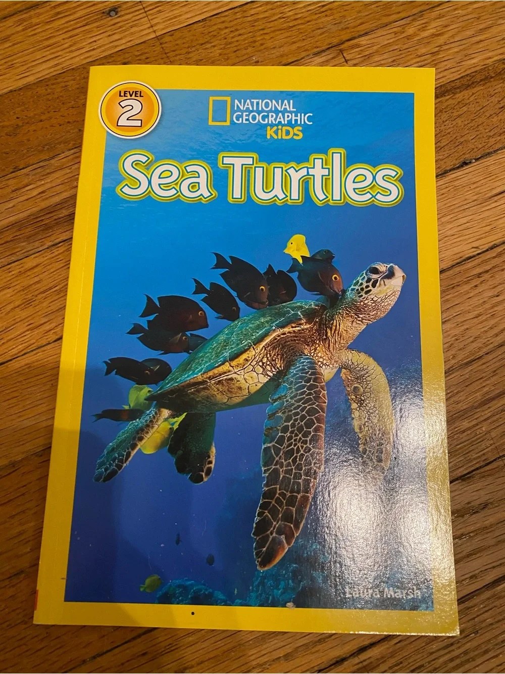 National Geographic Kids & Scholastic Children's Book Lot who would win books